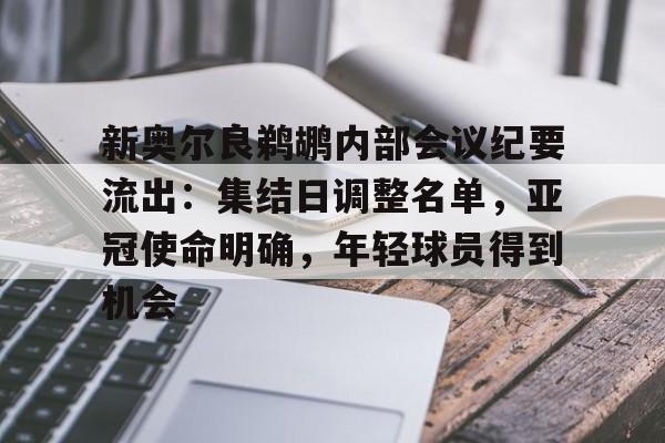 关于新奥尔良鹈鹕内部会议纪要流出：集结日调整名单，亚冠使命明确，年轻球员得到机会的信息